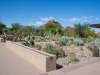 Desert Botanical Garden